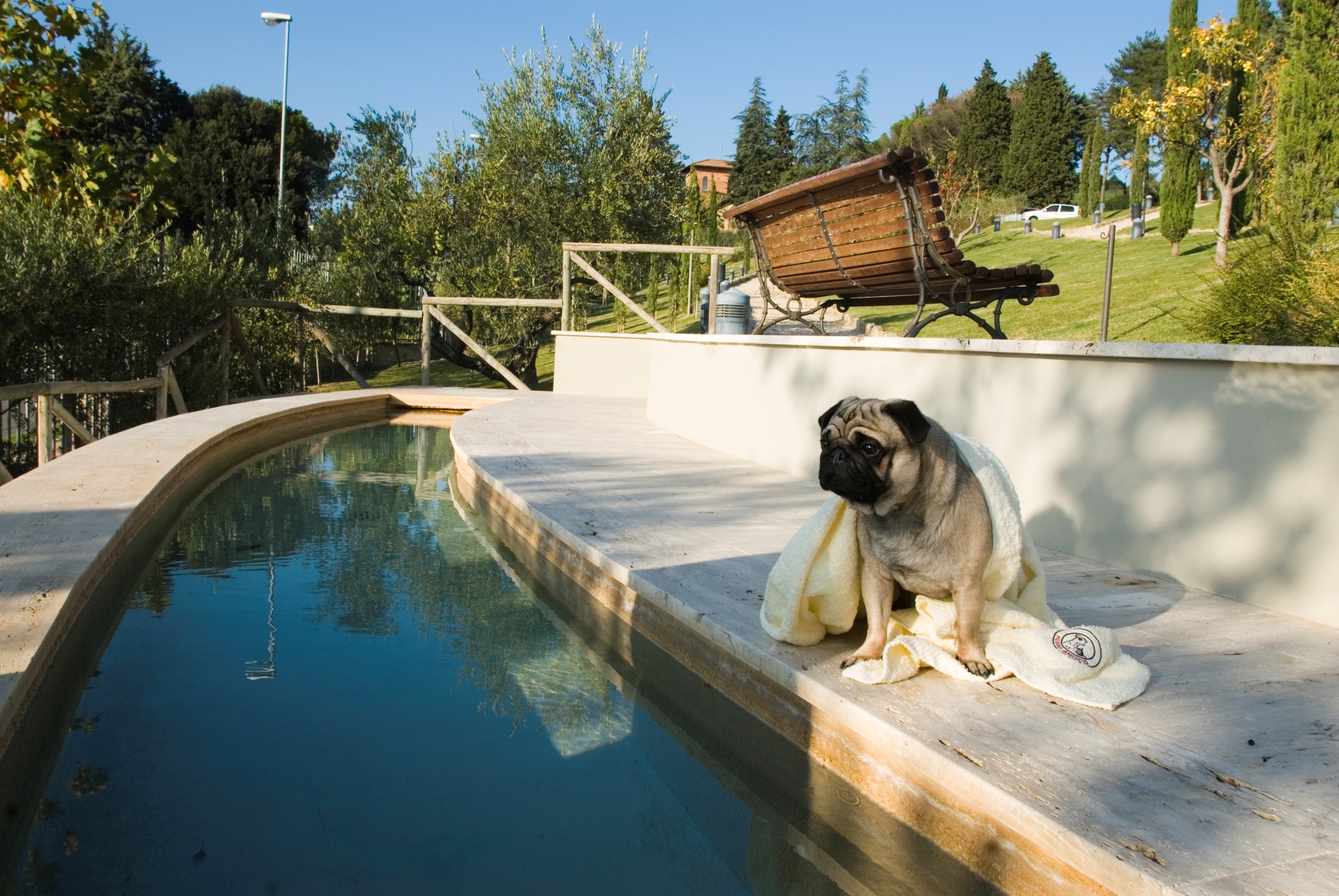 Alla SPA ...con i Peli (e pure gratis!)