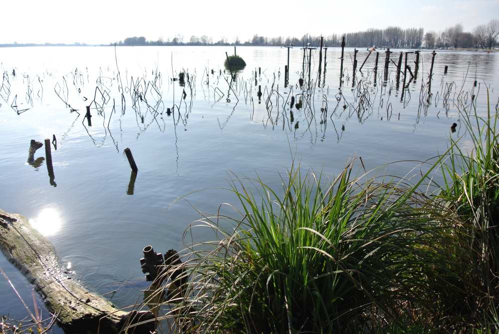 mantova