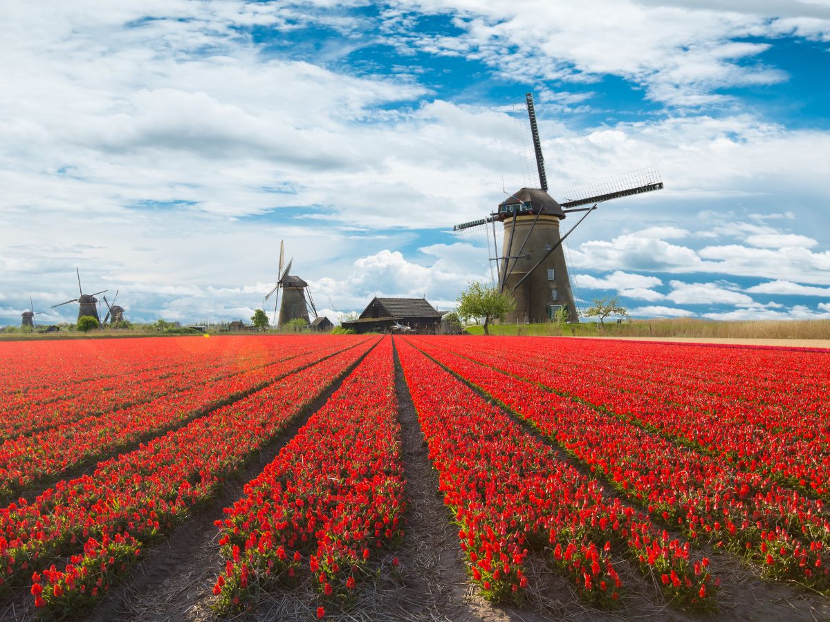 Il viaggio perfetto nel 2018? L’Olanda